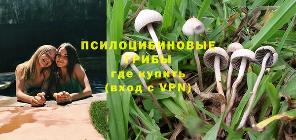 spice Алексеевка